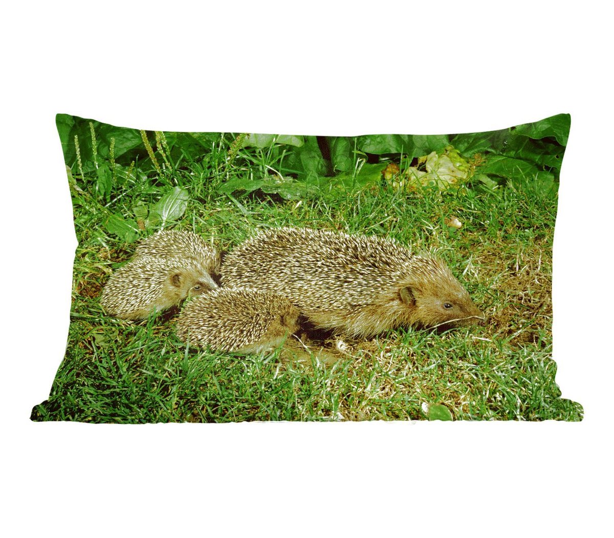 Sierkussens - Kussen - Egel met drie baby egels - 50x30 cm - Kussen van katoen