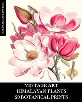 Vintage Art: Himalayan Plants 20 Botanical Prints
