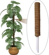 Gardone Mosstok - Plantensteun - Plantenstok - 40cm - Geschikt Voor Planten - Anti-schimmel