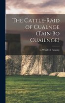 Tain Bo Caulinge/Cattle Raid of Cooley - chapter-by-chapter summary 