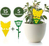 Egeco Rouwvliegjes Bestrijden 15 Stickers + 5 Houders - Fruitvliegjes Vanger - Insectenvanger - Makkelijk & Effectief
