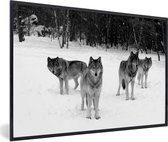 Fotolijst incl. Poster Zwart Wit- Roedel wolven in Canada - zwart wit - 90x60 cm - Posterlijst