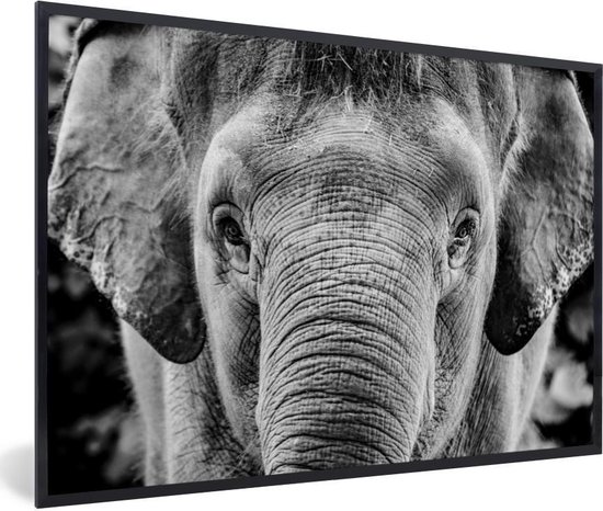Cadre photo avec affiche Zwart Wit- Portrait en gros plan d'un éléphant - noir et blanc - 30x20 cm - Cadre pour affiche - Décorations de Noël - Décoration de Noël pour l'intérieur - Noël