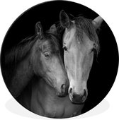 Cercle mural - Aluminium - Chevaux câlins - noir et blanc - ⌀ 90 cm