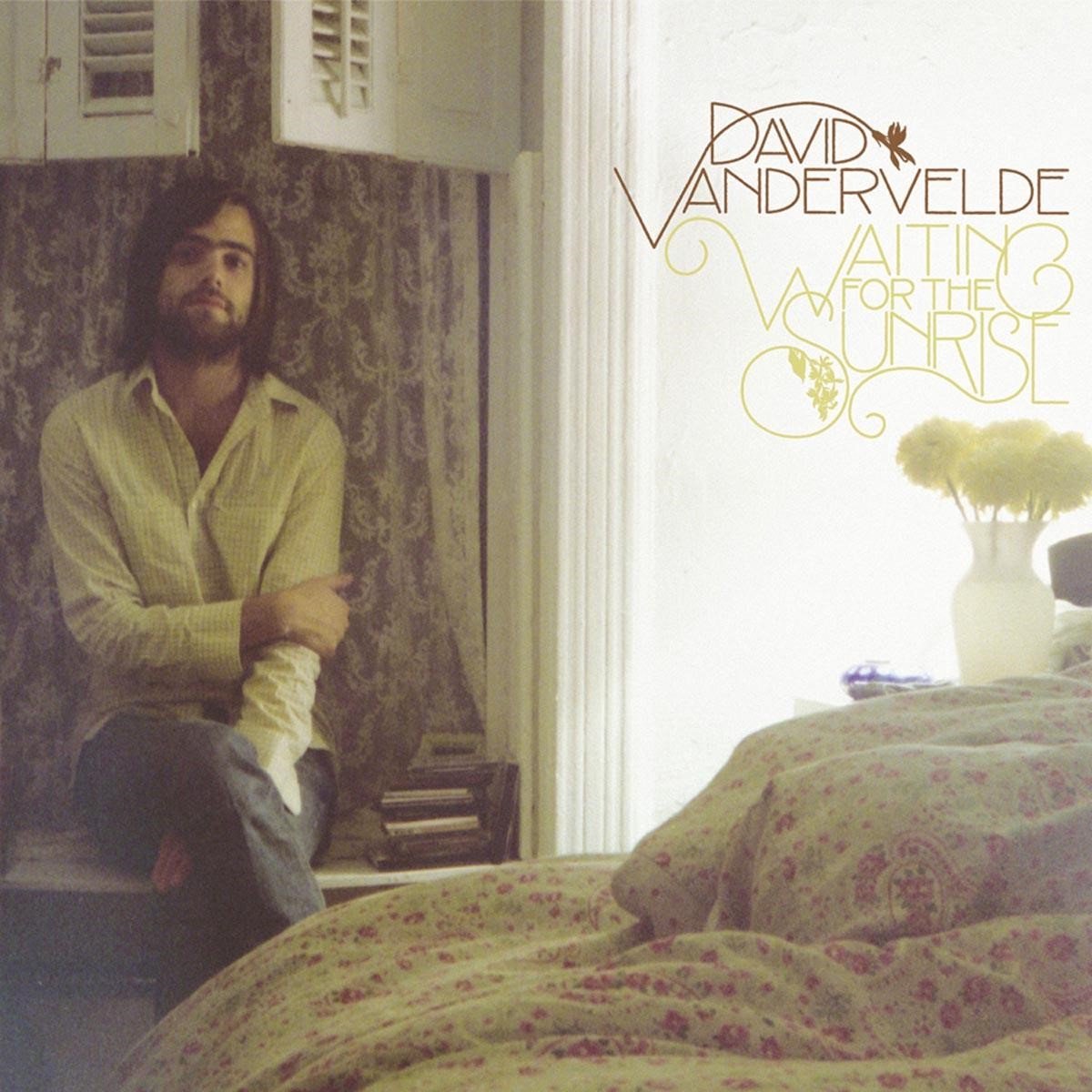 David Vandervelde - Waiting For The Sunrise (LP)