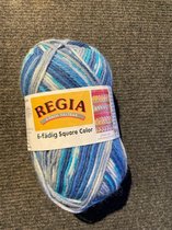 Regia Sokkenwol 6 draads Square Color 01133