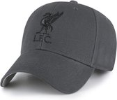 Liverpool cap logo grijs/zwart
