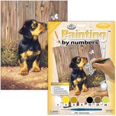 Schilderen op nummer - Paint by numbers - Dieren - Teckel puppy 22.5 x 30cm
