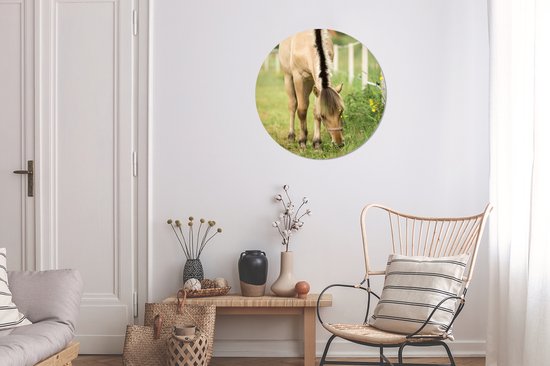 Wall Circle - Wall Circle Inside - un cheval de fjord dans un champ d'herbe - ⌀ 60 cm - Décoration murale - Peintures ronds