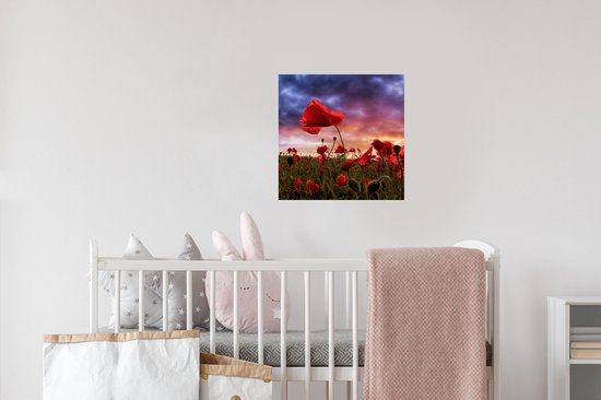 Stickers muraux - Film autocollant - Coquelicot - Champ de fleurs - Rouge - 30x30 cm - Film adhésif - Stickers muraux Chambre d'enfant - Papier peint autocollant