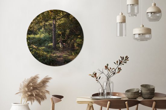 Cercle de papier peint - Cerf - Bois - Forêt - Automne - 100x100 cm - Cercle mural - Autocollant - Papier peint autocollant XXL