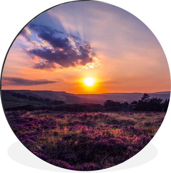 WallCircle - Wandcirkel - Muurcirkel - Zonsondergang op de heide - Aluminium - Dibond - ⌀ 140 cm - Binnen en Buiten