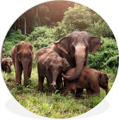 Cercle Mural - Cercle Mural Intérieur - Éléphants de la Forêt - ⌀ 60 cm - Décoration murale - Peintures Ronds