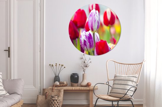 WallCircle - Wall Circle - Wall Circle Indoor - Gros plan de tulipes colorées - 140x140 cm - Décoration murale - Peintures ronds