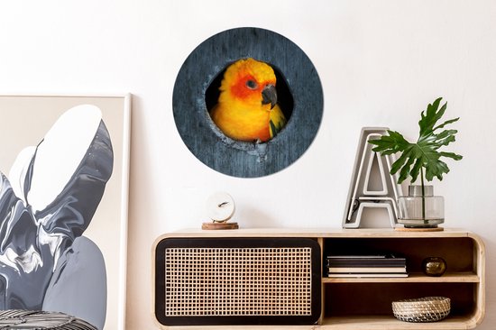WallCircle - Muurstickers - Behangcirkel - Een Zonparkiet zit in een nest in een boom - 80x80 cm - Muurcirkel - Zelfklevend - Ronde Behangsticker