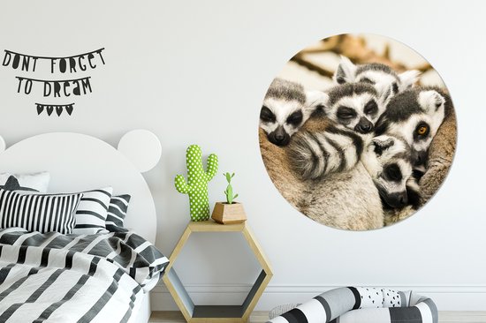 Cinq lémur catta se couchent côte à côte et dorment Assiette en plastique cercle mural ⌀ 120 cm - impression photo sur cercle mural / cercle vivant (décoration murale) XXL / Groot format!
