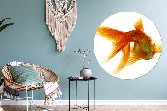 WallCircle - Cercle Mural - Cercle Mural - Poisson Rouge - Animaux aquatiques - Wit - Aluminium - Dibond - 120x120 cm - Intérieur et Extérieur XXL