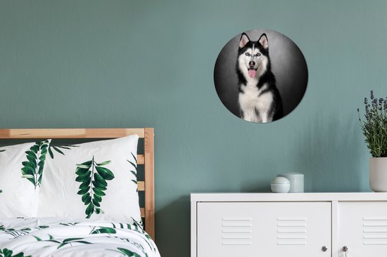 WallCircle - Cercle Mural - Cercle Mural - Husky Sibérien - Aluminium - Dibond - 30x30 cm - Intérieur et Extérieur