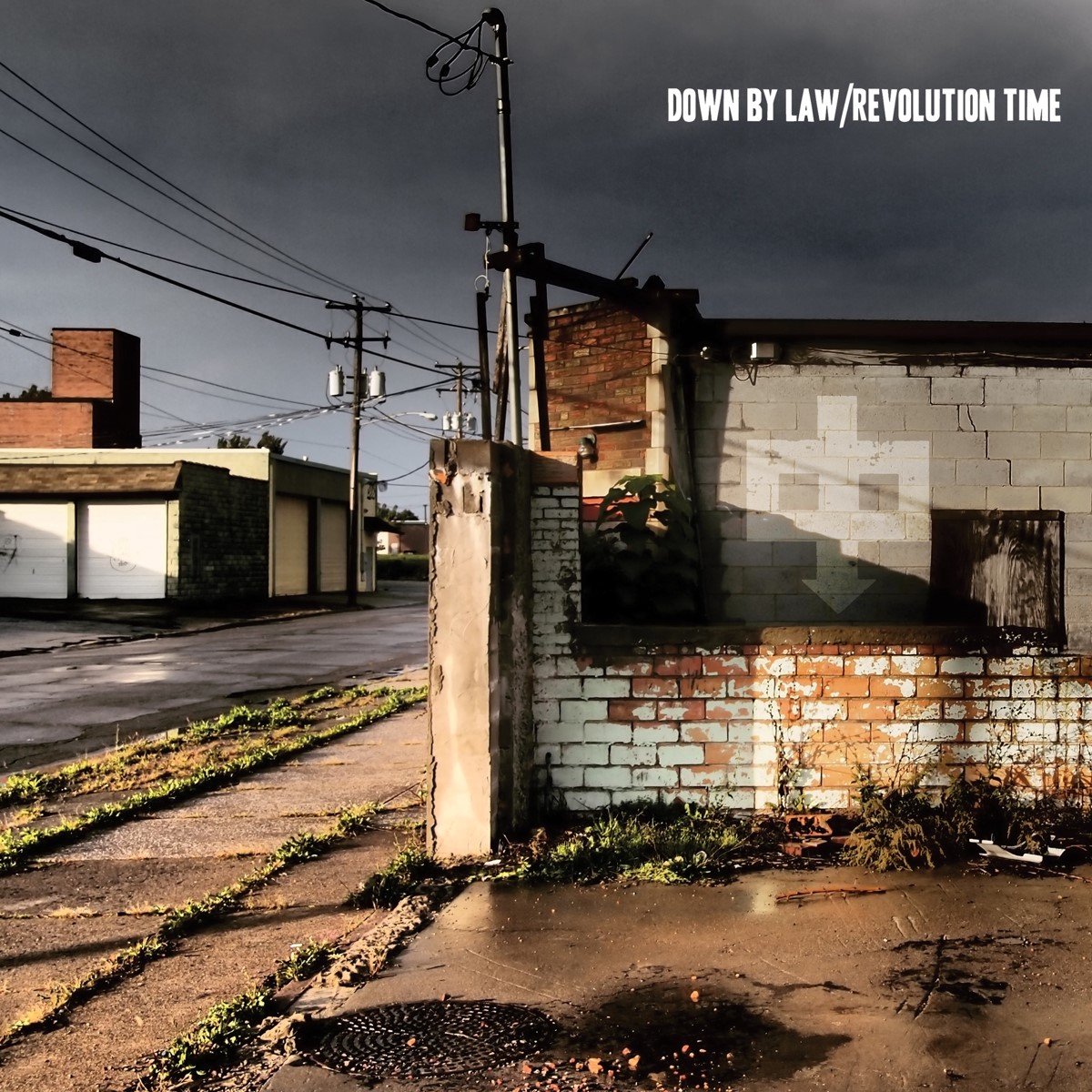 Down By Law - Revolution Time (LP)