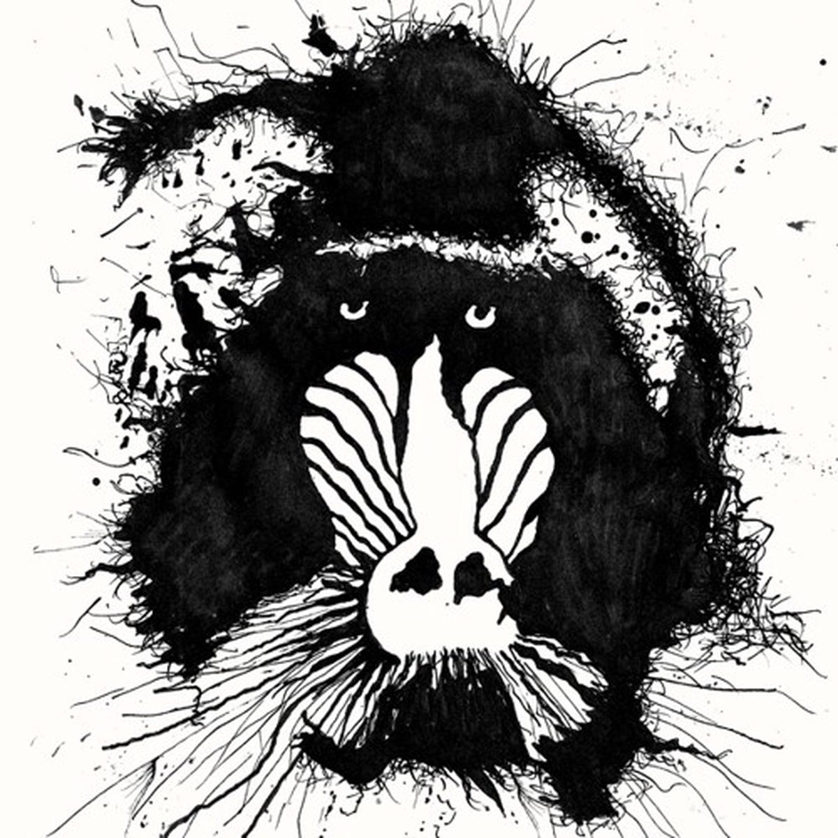 Feral Ohms - Feral Ohms (LP)
