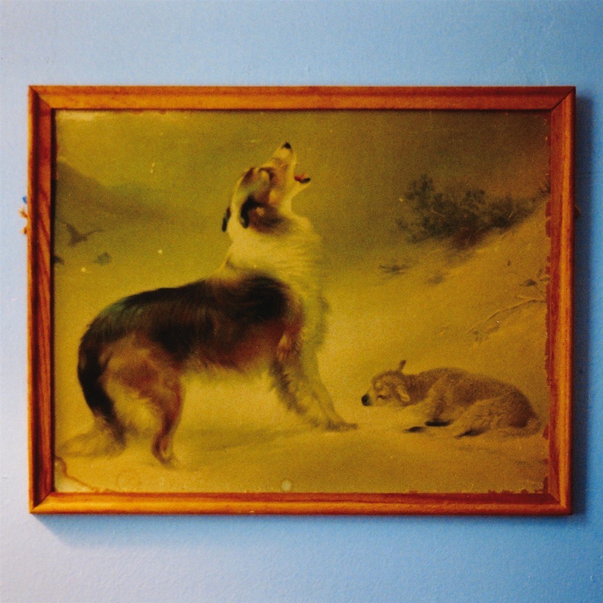 Explosions In The Sky - The Rescue (LP) (Anniversary Edition) (Remastered)