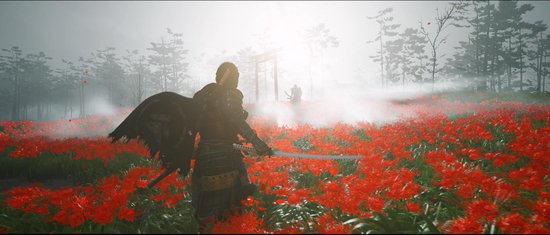 Een samurai met een cape staat in een veld met rode bloemen onder een zonnige, mistige hemel, met een andere samurai in de verte.