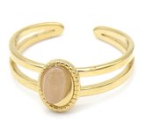 Dielay - Ring - Roze Agaat - RVS - One Size - Goudkleurig