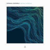 Oerknal Ensemble - Narrow Numerous (CD)