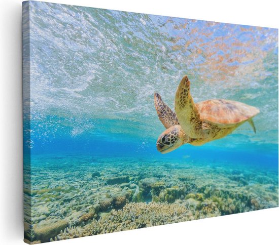 Artaza Canvas Schilderij Schildpad Zwemt in de Zee bij het Rif - 30x20 - Klein - Foto Op Canvas - Canvas Print