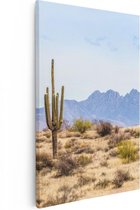 Artaza Canvas Schilderij Cactussen in de Woestijn - 80x120 - Groot - Foto Op Canvas - Canvas Print