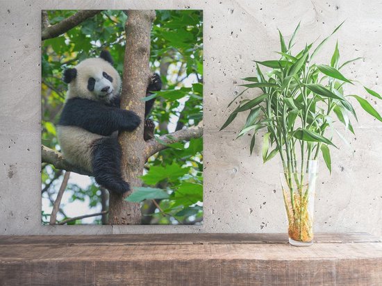 Artaza Peinture sur Toile Panda dans les Arbres - 30x40 - Klein - Photo sur Toile - Impression sur Toile