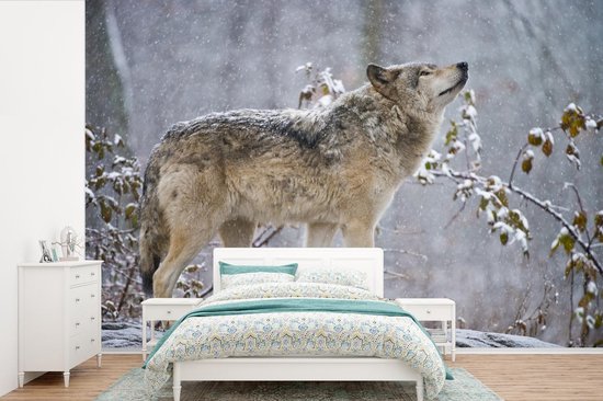 Papier peint - Papier peint photo Loup - Hiver - Neige - Largeur 360 cm x hauteur 240 cm