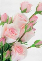 Een stijlvolle blanco wenskaart met een mooi boeket van roze rozen. Inclusief envelop en in folie verpakt! Te gebruiken voor bijvoorbeeld verjaardagen, zomaar, bedankt, afscheid, b