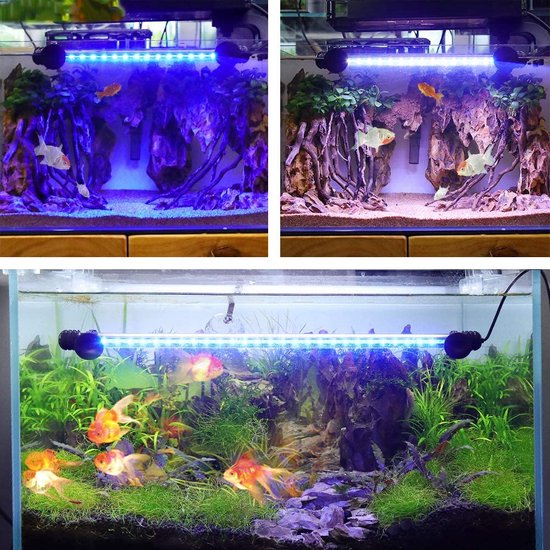 BELLALICHT LED - Aquarium Licht Met Timer - Wit/Blauw Licht - Met Timer -  10... | bol.com