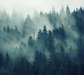 Bomen met mist - Fotobehang (in banen) - 450 x 260 cm