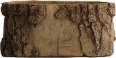 - planter cement 22x14x10cm - natural - 22x14x10