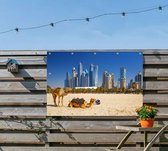 Kamelen op Jumeirah strand voor de skyline van Dubai - Foto op Tuinposter - 60 x 40 cm