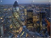 Blik op The Gherkin in het financiële hart van Londen - Foto op Tuinposter - 100 x 75 cm