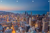 Skyline van Chicago Downtown tijdens avondschemering - Foto op Tuinposter - 90 x 60 cm