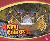 Asian Animals - King Cobras