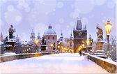 De Karelsbrug en Oude Stad in winters Praag - Foto op Forex - 45 x 30 cm