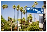 Palmbomen op Hollywood Boulevard in Los Angeles - Foto op Akoestisch paneel - 90 x 60 cm