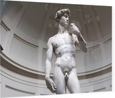 David, Michelangelo's meesterwerk in Florence - Foto op Plexiglas - 60 x 40 cm