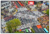 Indrukwekkend uitzicht op Shibuya Crossing in Tokio - Foto op Akoestisch paneel - 225 x 150 cm