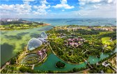 Luchtfoto van de Supertree Grove van Singapore - Foto op Forex - 45 x 30 cm