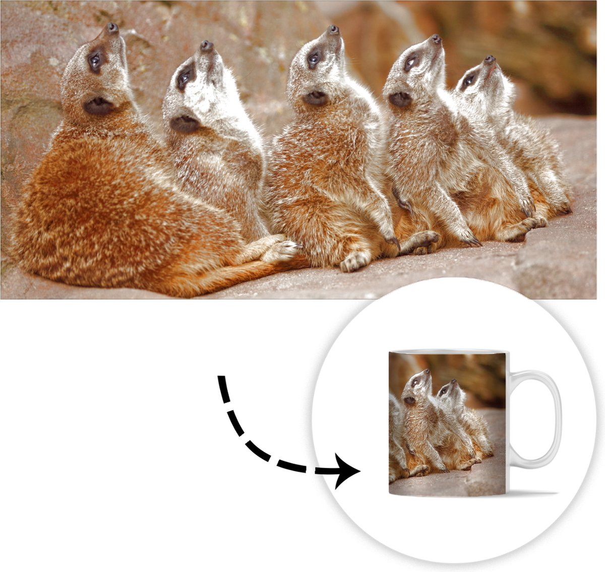 Mok - Koffiemok - Stokstaartjes - Rots - Natuur - Mokken - 350 ML - Beker - Koffiemokken - Theemok