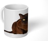 Mok - Donkere Burmees kat - 350 ML - Beker
