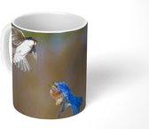 Mok - Koffiemok - Close-up van twee vechtende vogels bij een nestkast - Mokken - 350 ML - Beker - Koffiemokken - Theemok