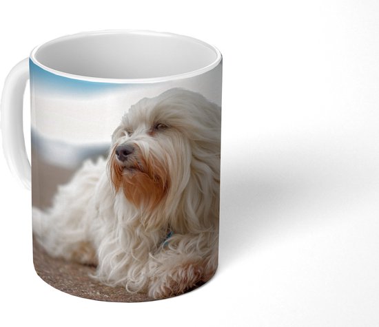 Mug - Tasse à café - Petit maltais blanc se trouve dans la rue et regarde de côté hors de l'image - Tasses - 350 ML - Tasse - Tasses à café - Tasse à thé - Décoration Sinterklaas - Cadeaux pour enfants - Chaussures cadeaux Sinterklaas