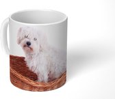 Mok - Koffiemok - Maltezer hond zit in een mand - Mokken - 350 ML - Beker - Koffiemokken - Theemok